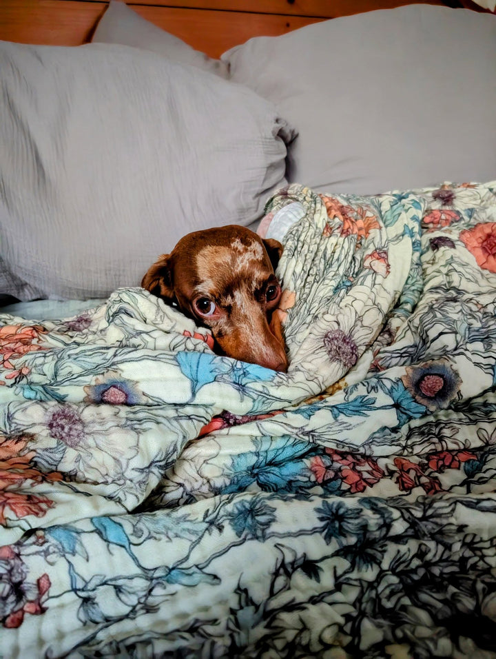 (Pre-Sale ETA: FEB) Orange Wildflower Sketch Daydream Blanket - The Last Call Collection