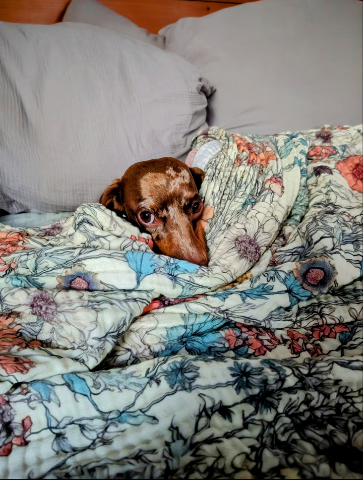 (Pre-Sale ETA: MARCH) Orange Wildflower Sketch Daydream Blanket - The Classics Collection