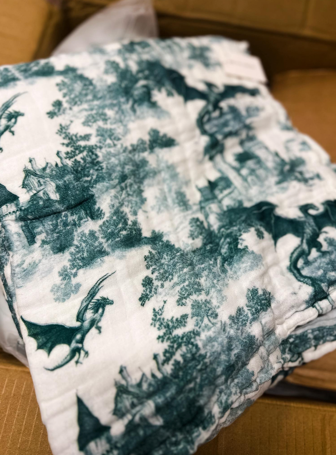 (Pre-Sale ETA: MARCH) Dragon's Lair Daydream Blanket - The Classics Collection